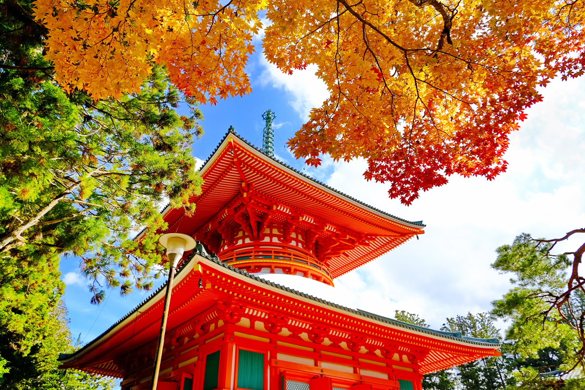 和歌山全域でのロケーション撮影